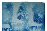 نقشه‌های آبی رابرت رائوشنبرگ و سوزان ویل، ۱۹۵۲