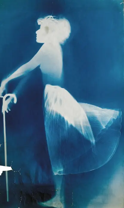 نقشه‌های آبی رابرت رائوشنبرگ و سوزان ویل، ۱۹۵۰