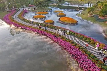 تصویر هوایی از افرادی که بر روی مسیر بین گلدان‌های گل قدم می‌زنند