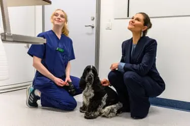 دو زن جوان، یکی در سمت چپ با یونیفرم آبی دامپزشکی، در حال نشستن با سگی که بین آنها قرار دارد