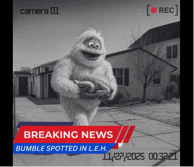 مشاهدات بامبل باعث جستجوی شبانه در شهرستان اقیانوس جنوبی شد