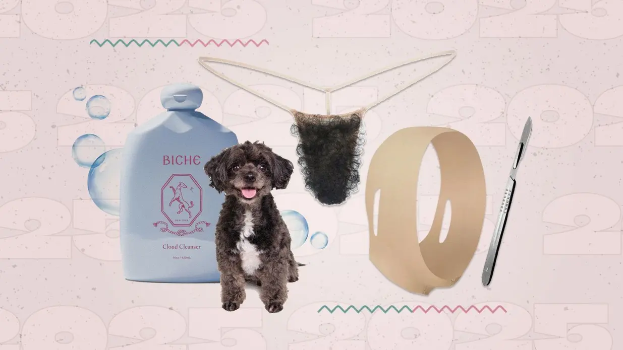 زیبایی برای سگ‌ها، کشیدن موهای عمومی و تورم ظاهر: ۳ نویسندهٔ پرآوازهٔ زیبایی سال ۲۰۲۵ را جمع‌بندی می‌کنند