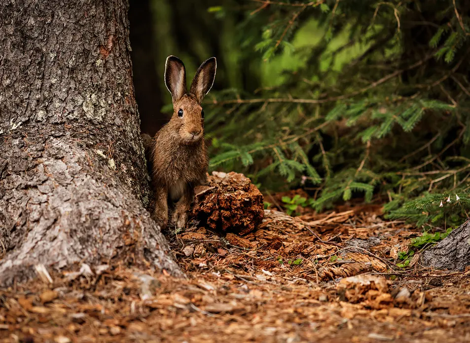 عکس‌های دل‌پسند ما در سال ۲۰۲۵